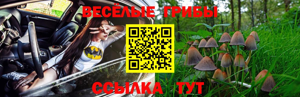 Ипатово  Псилоцибиновые грибы MAGIC MUSHROOMS  Вход с VPN 