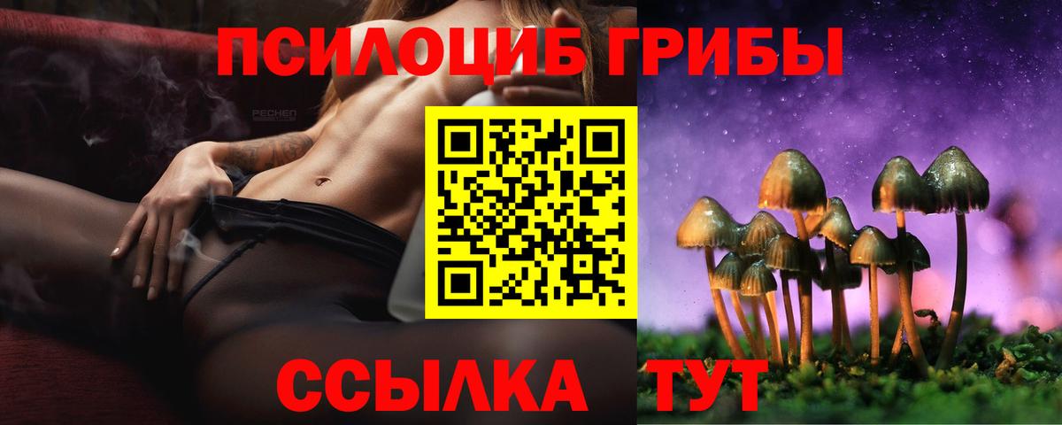 Псилоцибиновые грибы мицелий Ипатово